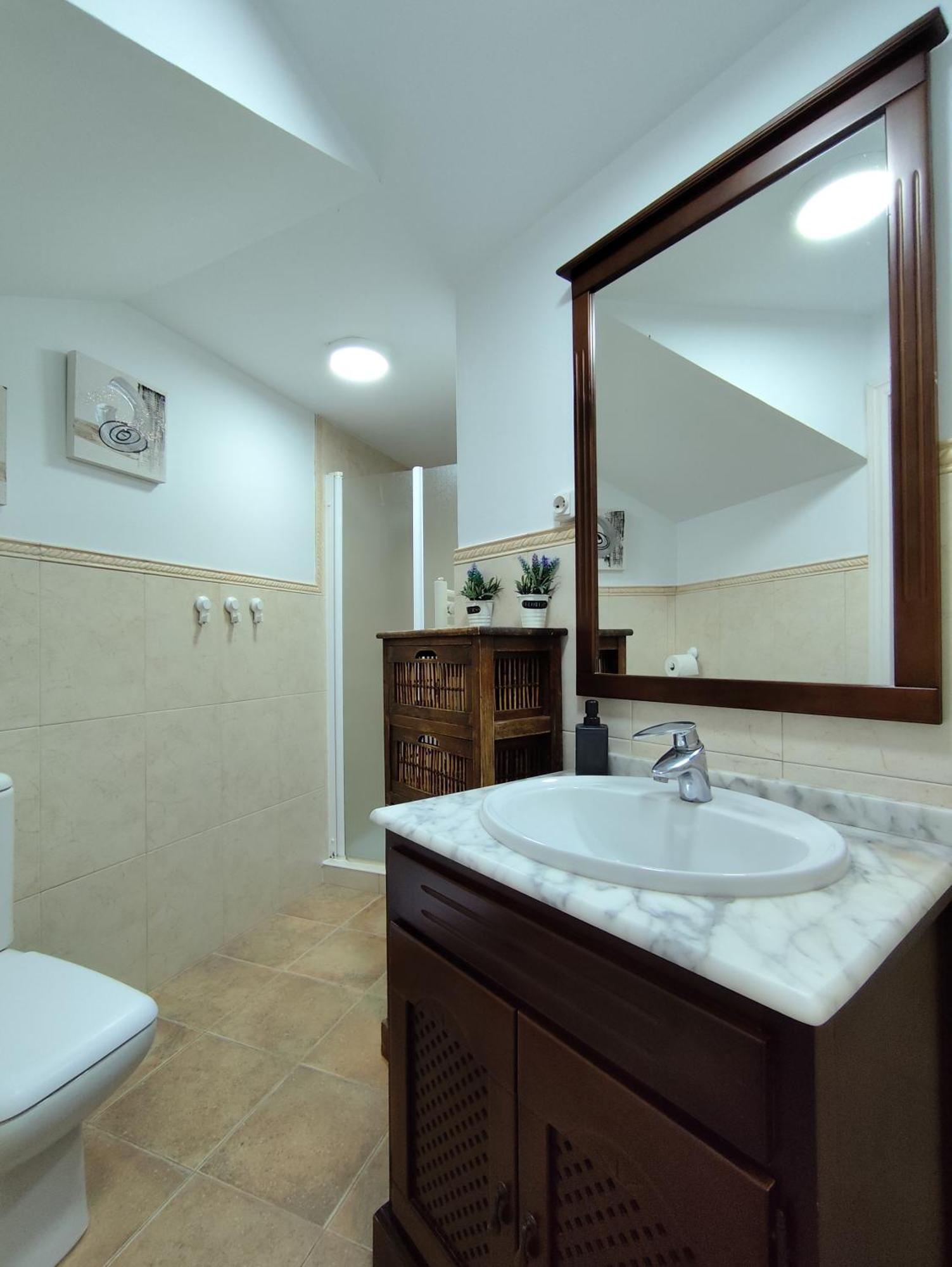 Casa del Árbol Apartamento Málaga Exterior foto
